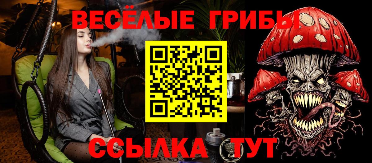 Псилоцибиновые грибы Cubensis  Псилоцибиновые грибы MAGIC MUSHROOMS  Новочеркасск  Вход с VPN 
